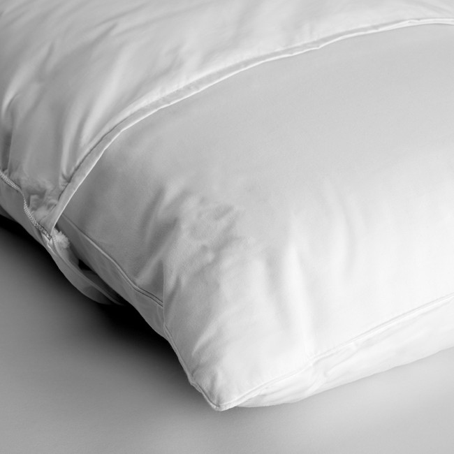 Pillow Insert